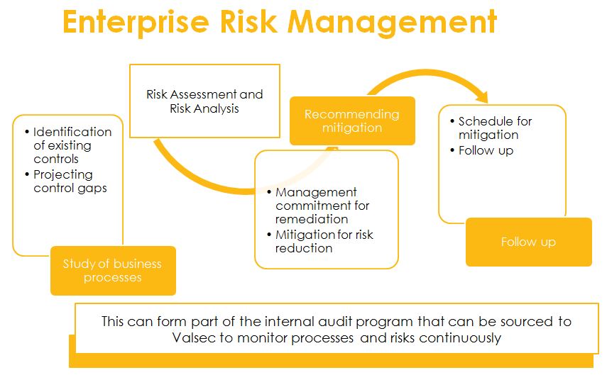 Enterprise Risk Management Model